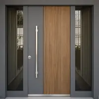 Füme Camlı Villa Çelik Kapısı V:25